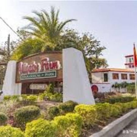 Beach Side Complex B23 1 Bed 1 Bath W/Heated Pool St. Augustine Ngoại thất bức ảnh